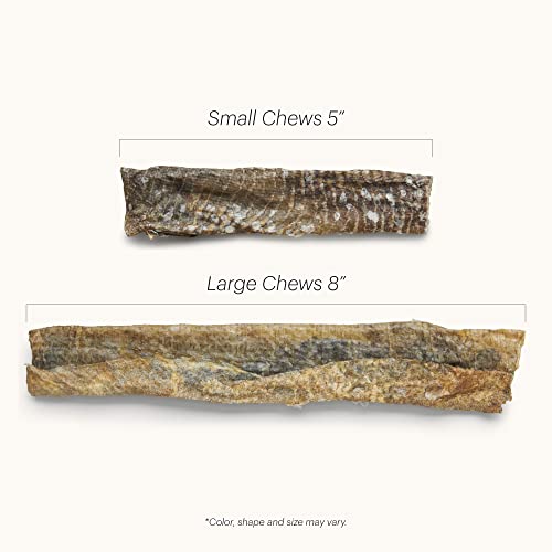 The Honest Kitchen Ocean Chews™ Crispy Cod Fish Skins Dog Treats, 2.75 oz (Beams™)