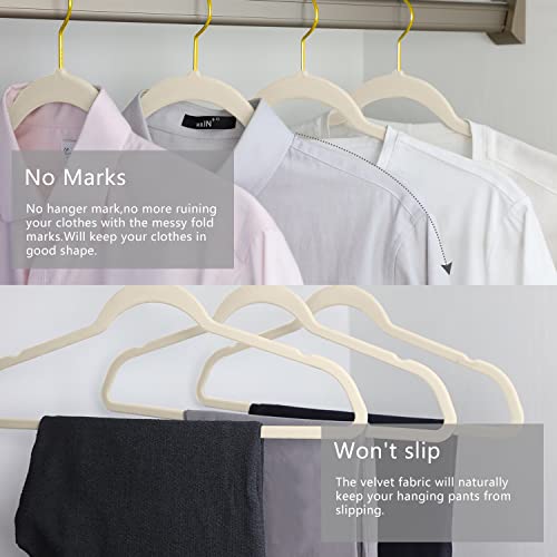 MIZGI Premium Velvet Hangers Pack 50 Pcs Heavy Duty - Non Slip Slimline - Velvet Suit Hangers Ivory - Gold Hooks,Space Saving Clothes Hangers …