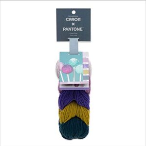 caron x pantone acrylic & merino wool blend yarn •• 5 coordinated colors in 1 braid (purple pops 291101-01017)