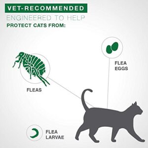 Bayer Advantage II Flea Prevention for Large Cats 6 Doses, 6 Months Supply 2 Pack Bundle