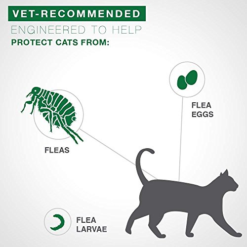 Bayer Advantage II Flea Prevention for Large Cats 6 Doses, 6 Months Supply 2 Pack Bundle