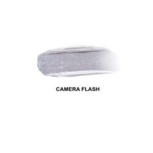 KARL LAGERFELD + MODELCO Kiss Me Karl Lip Lights Top Coat Camera Flash