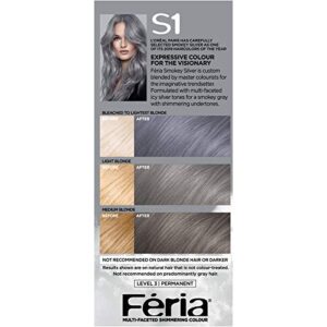 L’Oréal Paris Feria Multi-Faceted Shimmering Permanent Hair Color Hair Dye, S1 Smokey Silver