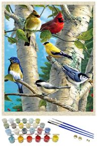 icoostor paint by numbers diy acrylic painting kit for kids & adults beginner - 16" x 20" branch magpie pattern