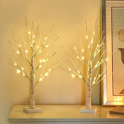 Vanthylit Tabletop Christmas Tree, White Birch Tree with LED Lights- Set of 2, Warm White Small Tree Lights Battery Powered Timer, Lighted Tree for Mantle Christmas Decorations (2FT, 24LED)