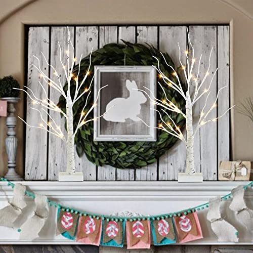 Vanthylit Tabletop Christmas Tree, White Birch Tree with LED Lights- Set of 2, Warm White Small Tree Lights Battery Powered Timer, Lighted Tree for Mantle Christmas Decorations (2FT, 24LED)