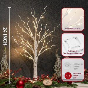 Vanthylit Tabletop Christmas Tree, White Birch Tree with LED Lights- Set of 2, Warm White Small Tree Lights Battery Powered Timer, Lighted Tree for Mantle Christmas Decorations (2FT, 24LED)
