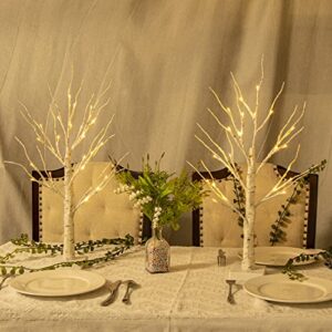 Vanthylit Tabletop Christmas Tree, White Birch Tree with LED Lights- Set of 2, Warm White Small Tree Lights Battery Powered Timer, Lighted Tree for Mantle Christmas Decorations (2FT, 24LED)