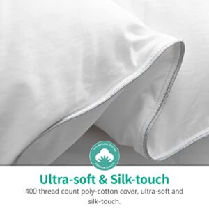 APSMILE Full/Queen Size Goose Feathers Down Comforter Duvet Insert - Ultra-Soft All Season Down Comforter Hotel Collection Comforter, 46 Oz Fluffy Medium Warmth (90x90, White)