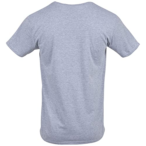 Gildan Adult Softstyle Cotton T-Shirt, Style G64000, Multipack, Sport Grey (2-Pack), Large