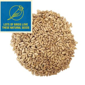 Sunflower Coarse Kernels Hearts No Waste No Mess Bird Seed (50 Pounds)