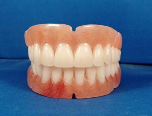dentures, set of false teeth with hollywood white shade teeth