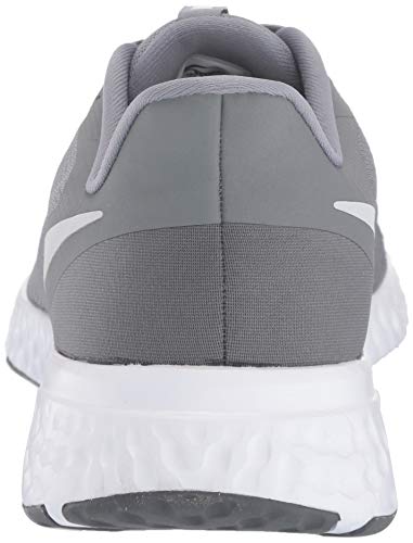 Nike Men's Revolution 5 Running Shoe, Cool Grey/Pure Platinum-Dark Grey, 11 Regular US