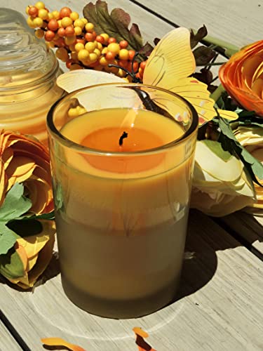 HB HEALTH BEAUTY BOTANICALS Blossom Candle. Honey Citrus Vanilla High Fragrance Soy Candle in Honey Wax 7.5 Oz Gold Glass