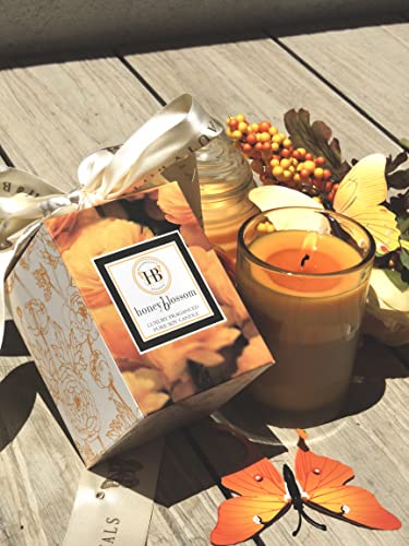 HB HEALTH BEAUTY BOTANICALS Blossom Candle. Honey Citrus Vanilla High Fragrance Soy Candle in Honey Wax 7.5 Oz Gold Glass
