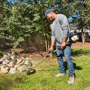 SENIX 4QL® 26.5 cc 4-Cycle Gas Powered String Trimmer, Detachable Straight Shaft, 17.7-Inch Cutting Width, with Dual .095 Cutting Line and Bump Feed, GTS4QL-L, Blue