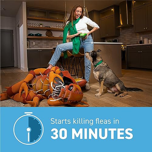 CAPSTAR (nitenpyram) Oral Flea Treatment for Dogs, Fast Acting Tablets Start Killing Fleas in 30 Minutes, Small Dogs (2-25 lbs), 6 Doses