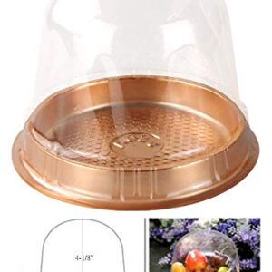 50 Sets Cake Box - Internal Size Diameter 4-3/8 Inch X Height 4-1/8 Inch Clear Plastic Dome Carrier - Single Cake Container Carry Reinforcement Stickers (Gold)