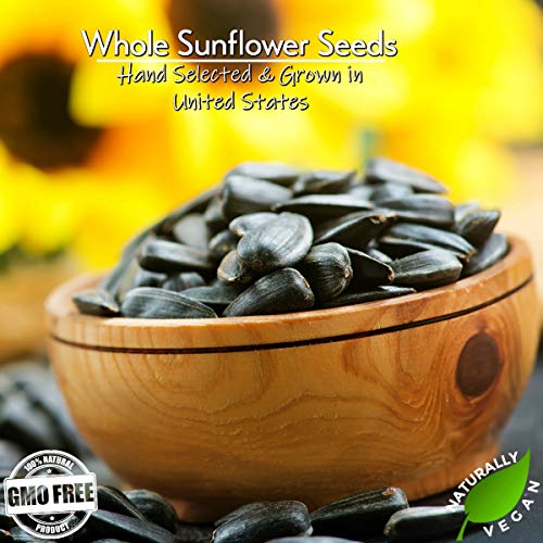 GERBS Raw Whole Sunflower Seed In Shell 2 lbs., Top 14 Allergy Free Foods, Healthy Superfood Snack, Non GMO, No Oils, No Preservatives, Resealable Bag, Gluten Free, Peanut Free, Vegan, Keto, Kosher