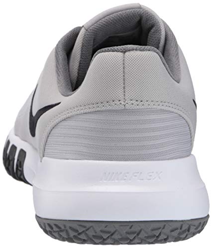 Nike Men's Flex Control TR4 Cross Trainer, Light Smoke Grey/Blacksmoke Grey-Dark Smoke Greywhite, 11 Regular US