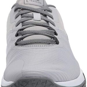 Nike Men's Flex Control TR4 Cross Trainer, Light Smoke Grey/Blacksmoke Grey-Dark Smoke Greywhite, 11 Regular US