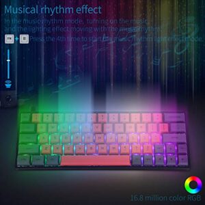 60% Mechanical Keyboard, RGB LED Backlit, Gateron Optical Switch, Macros, Waterproof, Ergonomic USB Wired Gaming Keyboard for PC/Mac Gamer(PBT Caps)
