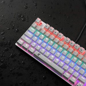 HUO JI 65% Mechanical Gaming Keyboard, E-Yooso Z-88 with Blue Switches Metal Panel Rainbow LED Backlit, Compact 81 Keys, Silver and White