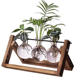 kingbuy plant propagation stations terrarium glass desktop planter with retro wooden stand 3 bulb vases for hydroponics indoor office desk home decor, plant holder lover gifts for women