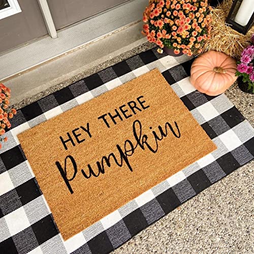 SEEKSEE Cotton Buffalo Plaid Rug 3'x 5' Black and White Hand Woven Checked Rug Washable Doormats Indoor Outdoor Rugs for Layered Front Door Mats, Porch, Kitchen, Farmhouse, Entryway