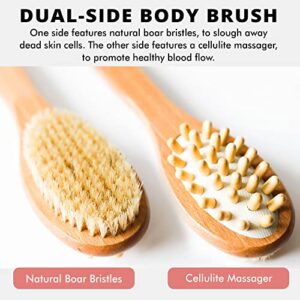 Dry Brushing Body Brush for Lymphatic Drainage with Anti Cellulite Massager - Long Handle Dual Sided Body Brush for Showering - Dry Brush for Body Back Scrubber for Shower (1Pc)