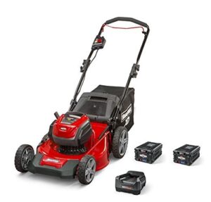 snapper xd 82v max electric cordless 21-inch lawnmower kit with (2) 2.0 batteries & (1) rapid charger, 1687884, sxdwm82k (renewed)