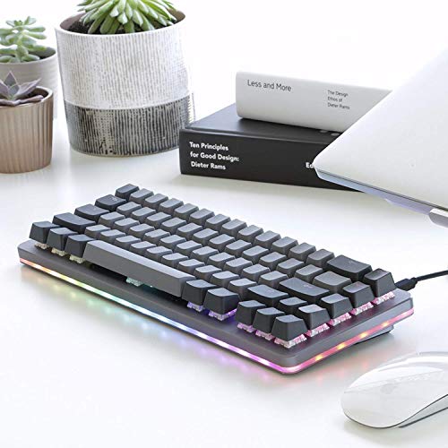Drop ALT Mechanical Keyboard — 65% (67 Key) Gaming Keyboard, Hot-Swap Switches, Programmable Macros, RGB LED Backlighting, USB-C, Doubleshot PBT, Aluminum Frame (Halo True, Gray)