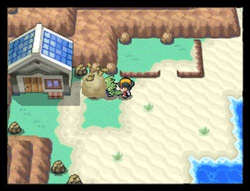 Pokemon HeartGold Version (Renewed)