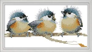 cross stitch kits, three birds awesocrafts easy patterns cross stitching embroidery kit supplies christmas gifts, stamped or counted (birds, counted)