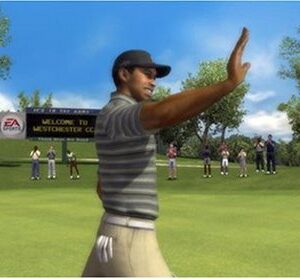 Tiger Woods PGA Tour 08 - Playstation 3 (Renewed)