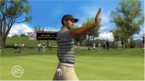 Tiger Woods PGA Tour 08 - Playstation 3 (Renewed)