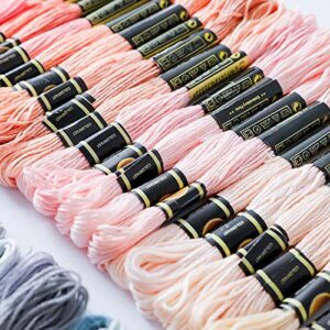 Vilihkc Rainbow Color Embroidery Floss 447 Skeins Per Pack with Cotton for Cross Stitch Threads Bracelet Yarn Craft Floss Embroidery Floss Set