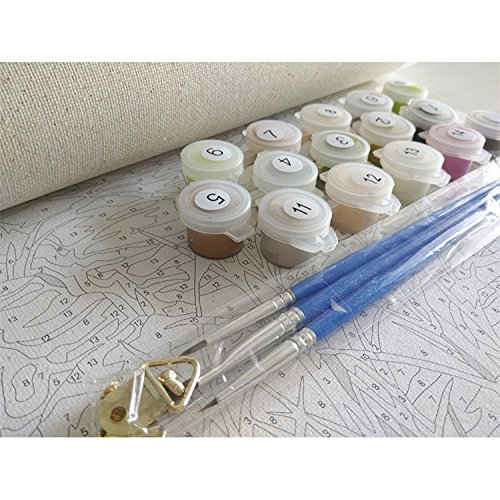 Newsight DIY Oil Painting Paintworks Paint by Number for Kids and Adults (Color Dog)