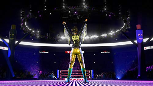 Take Two Interactive WWE 2K20 (Playstation 4) (PS4)