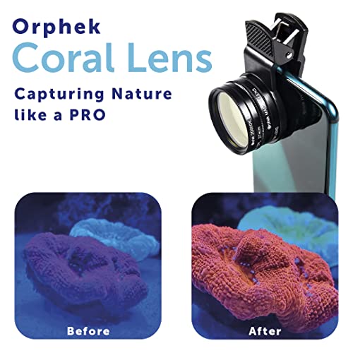 Orphek Coral Lens – Kit for All Smartphones – 4 Lens Included: Macro, CPL 37mm Polarized, 15,000k Orange, 20,000k Yellow – Universal Phone Clip – Lens Made of Glass – for Better Photography