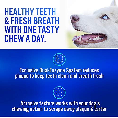 Virbac CET Enzymatic Oral Hygiene Chews for Dogs, Beef, 0.6 pounds, 8.4 Ounce (Pack of 1)