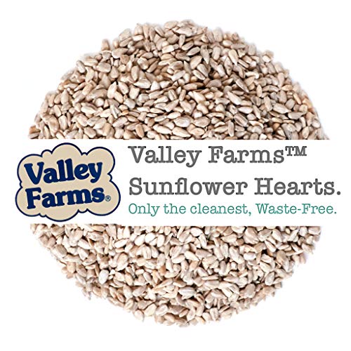 Valley Farms Sunflower Hearts Wild Bird Food - 15 lbs