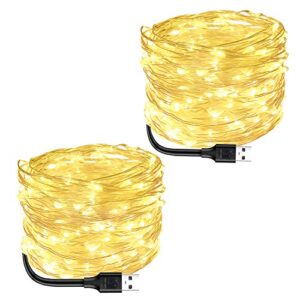 Blingstar Fairy Lights - 2 Pack of USB Powered Warm White 33Ft 100 LED String Lights - Perfect for Christmas, Parties, Weddings, Festivals, Bedroom and Table Decoration