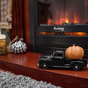 e-Flame USA Abbotsford 23"x19" LED Electric Fireplace Stove Insert with Remote - 3D Logs and Fire (Black)