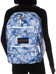 JanSport Traditional Backpacks, Daisy Haze, One Size