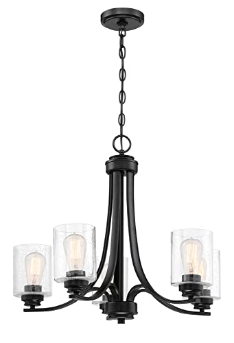 Craftmade 50525-BNK Bolden Clear Seeded Glass Shade Chandelier, 5-Light 500 Watts, Brushed Polished Nickel