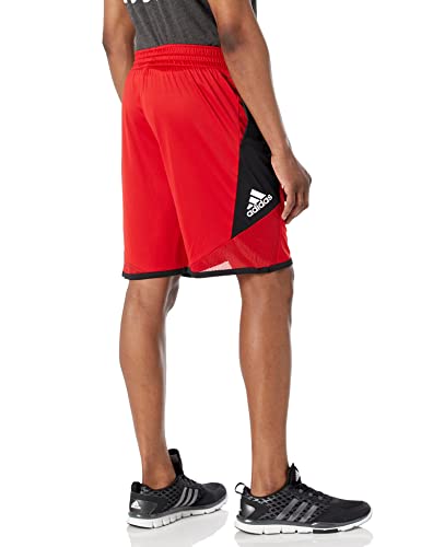 adidas Men's Pro Madness Shorts, Scarlet, Medium