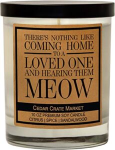 nothing like coming home to a loved one and hearing them meow, kraft label scented soy candle, citrus, spice, sandalwood, 10 oz. glass jar candle, made in the usa, decorative candles, funny gifts