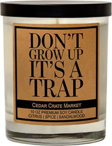 don't grow up it's a trap, kraft label scented soy candle, citrus, spice, sandalwood, 10 oz. glass jar candle, made in the usa, decorative candles, funny and sassy gifts