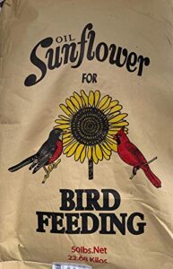 prdseed black oil sunflower seeds for birds - premium bird seed mix, ideal for chickens & wild birds, bird sunflower seed (40lbs)